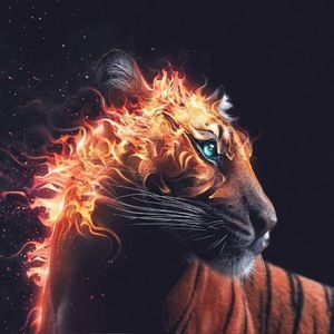 Meet your Posher, Domingo